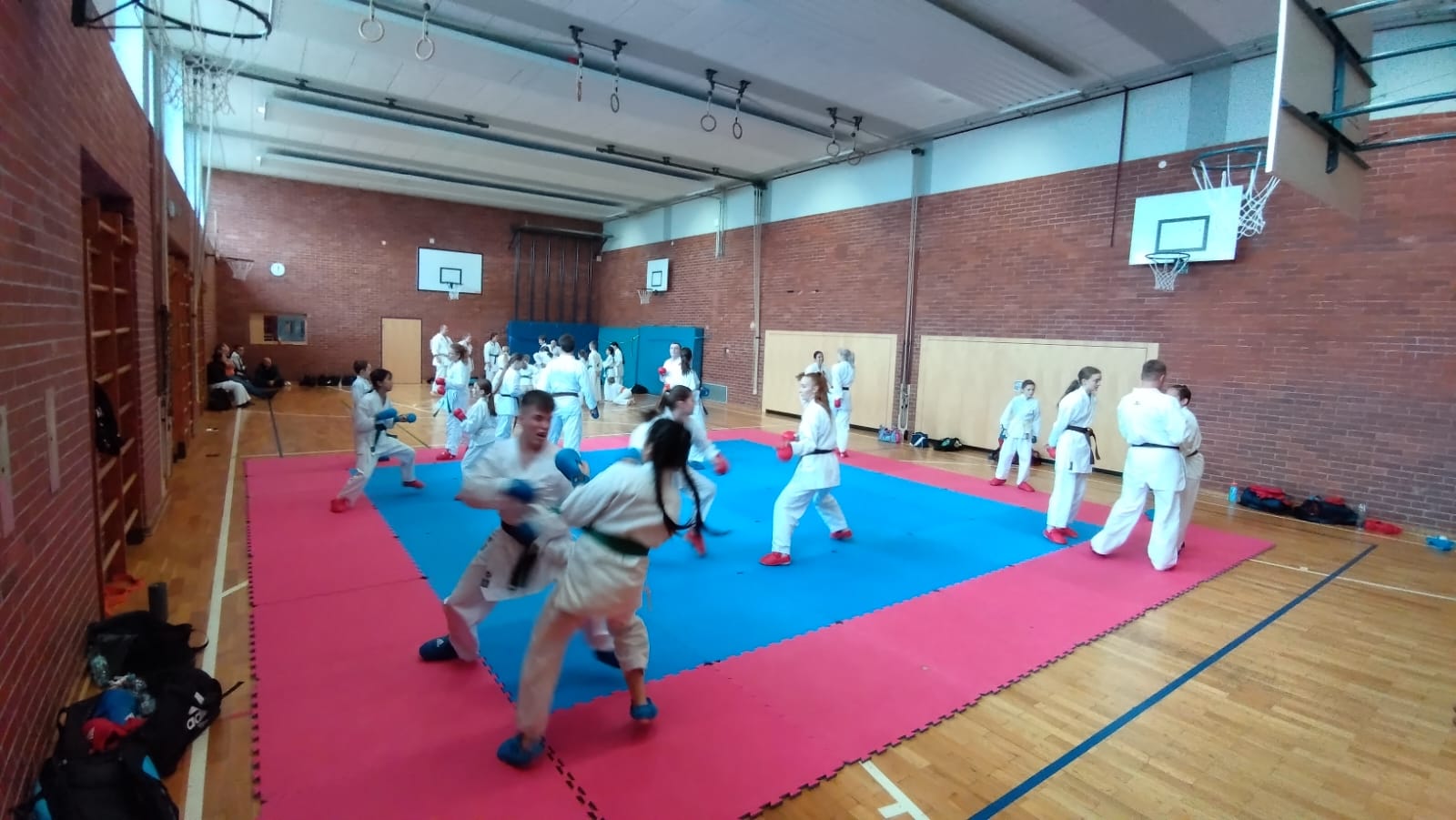 IMG 20241111 162021 1