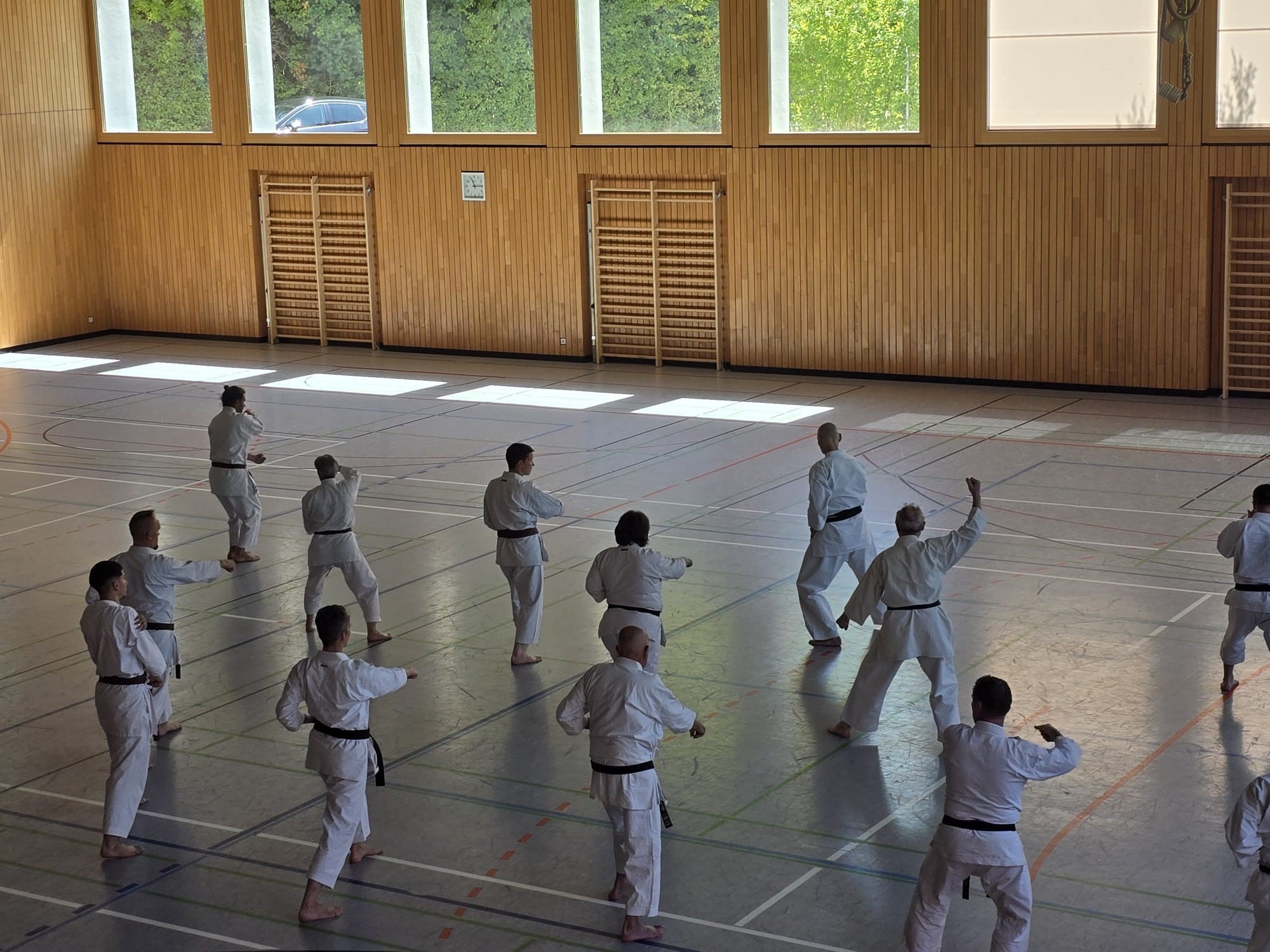 Lehrgang Strauss 3 Training
