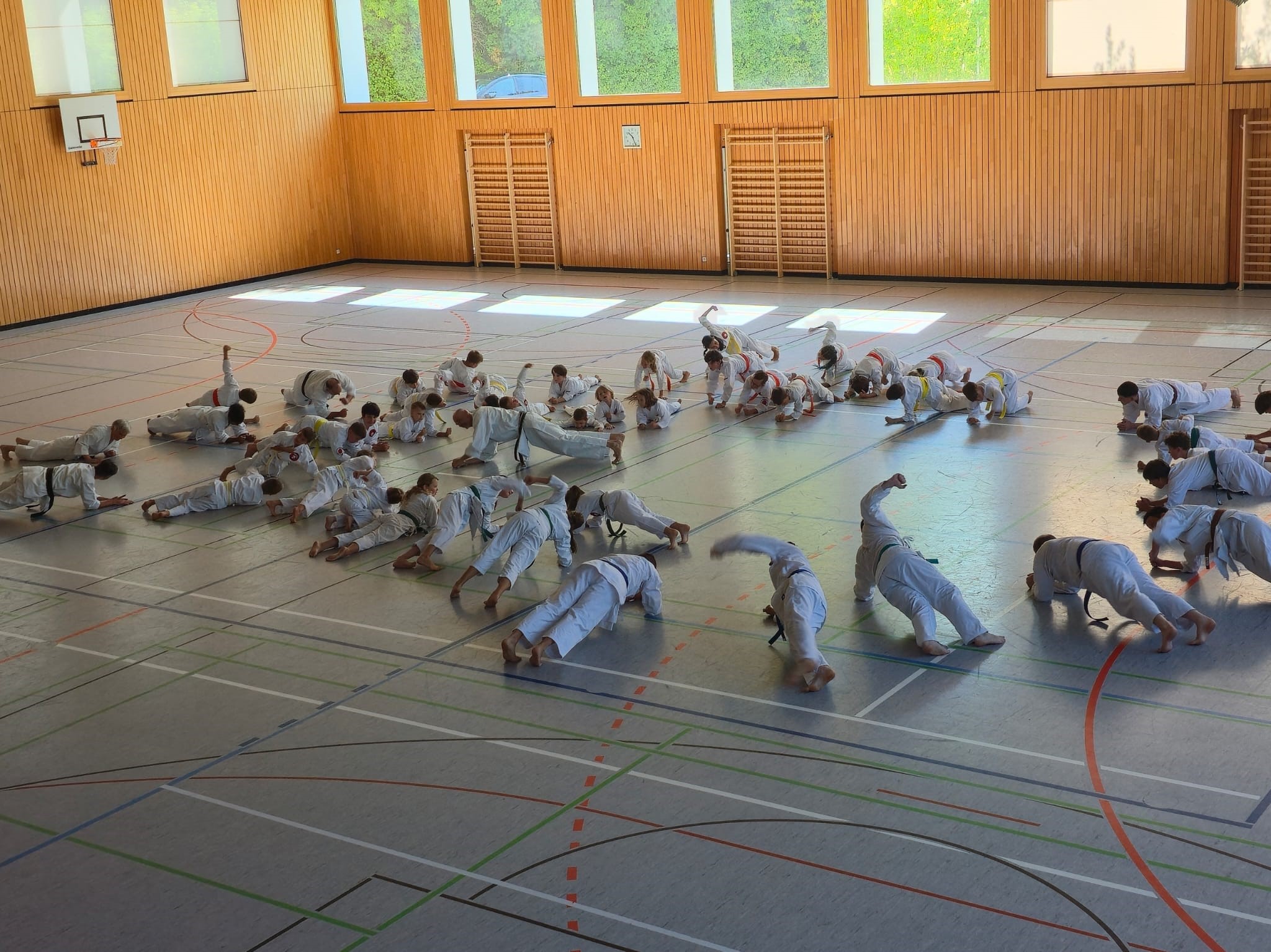 Lehrgang Strauss 4 Training